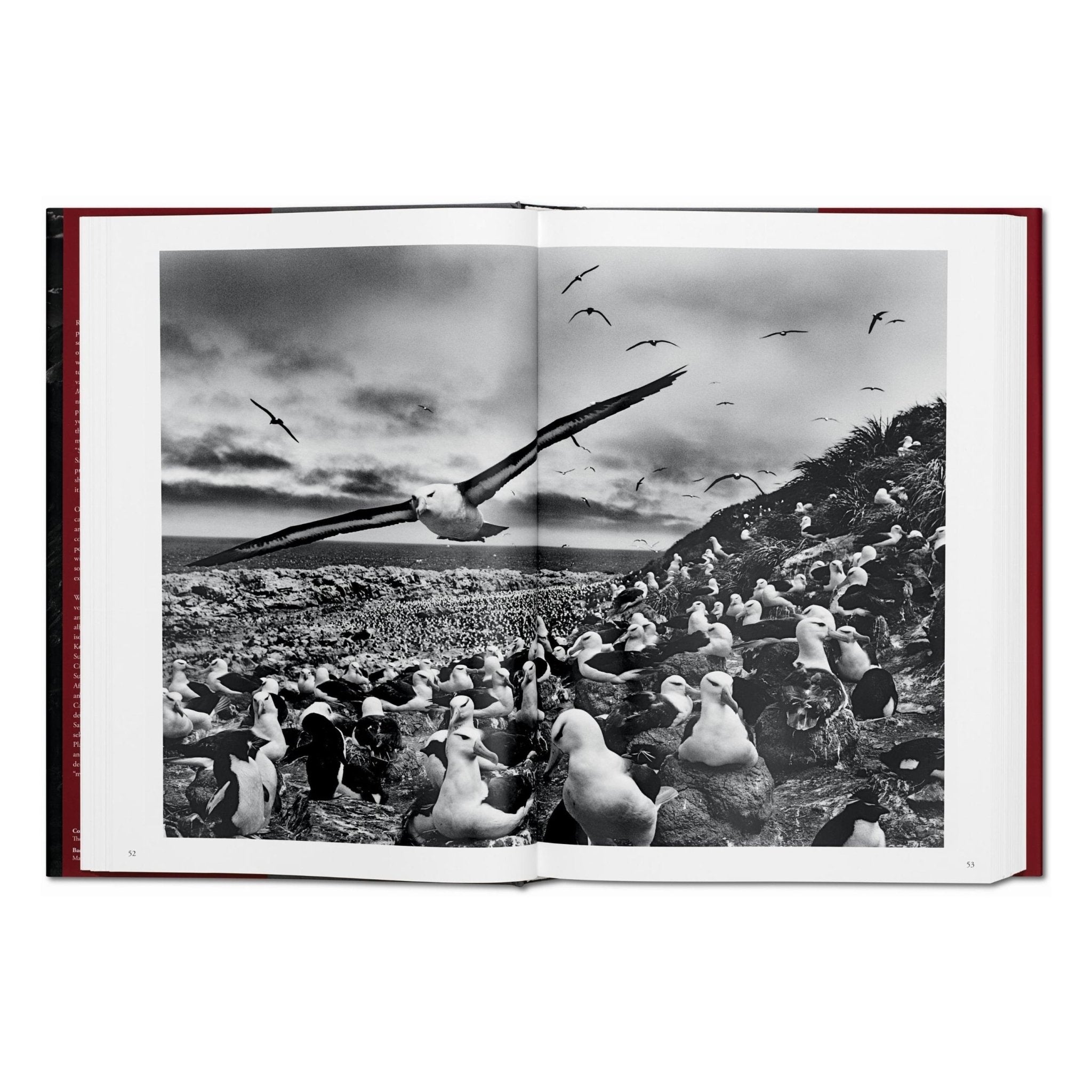 Sebastião Salgado. Genesis (English)-POPvault