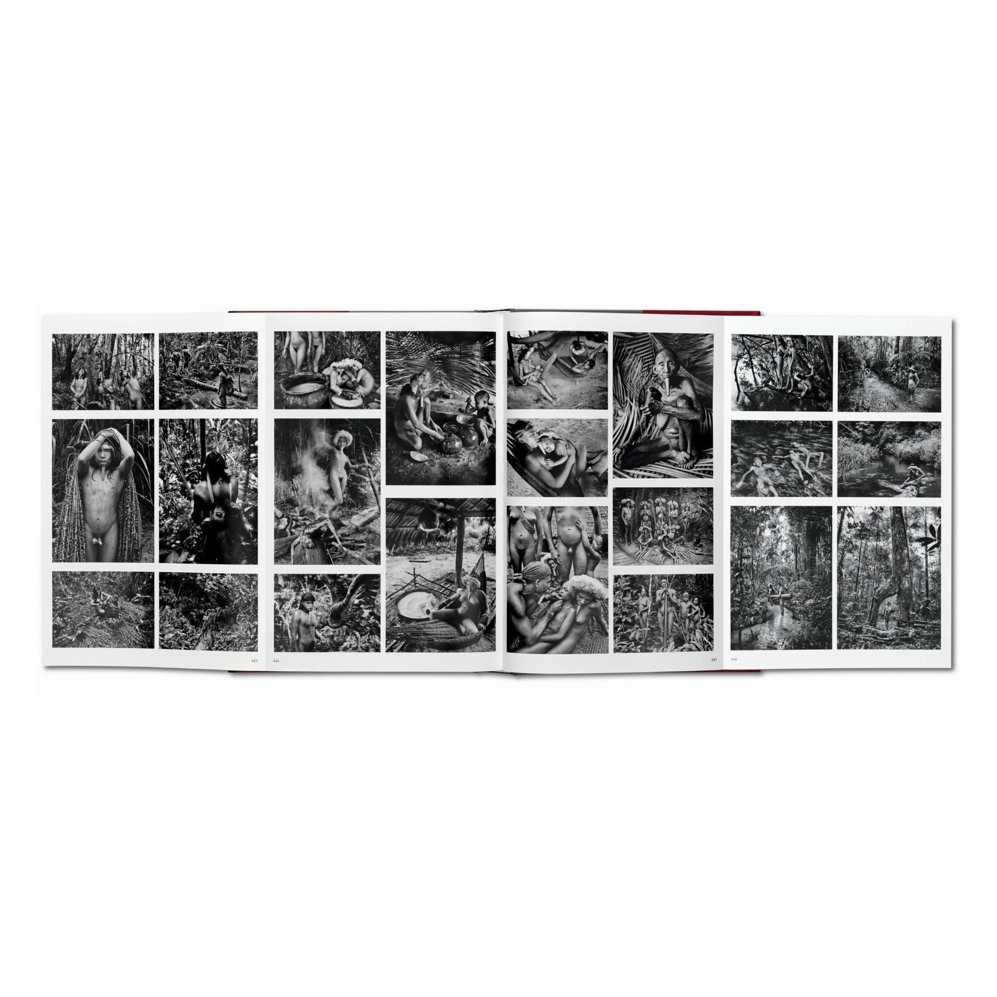 Sebastião Salgado. Genesis (English)-POPvault