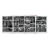 Sebastião Salgado. Genesis (English)-POPvault