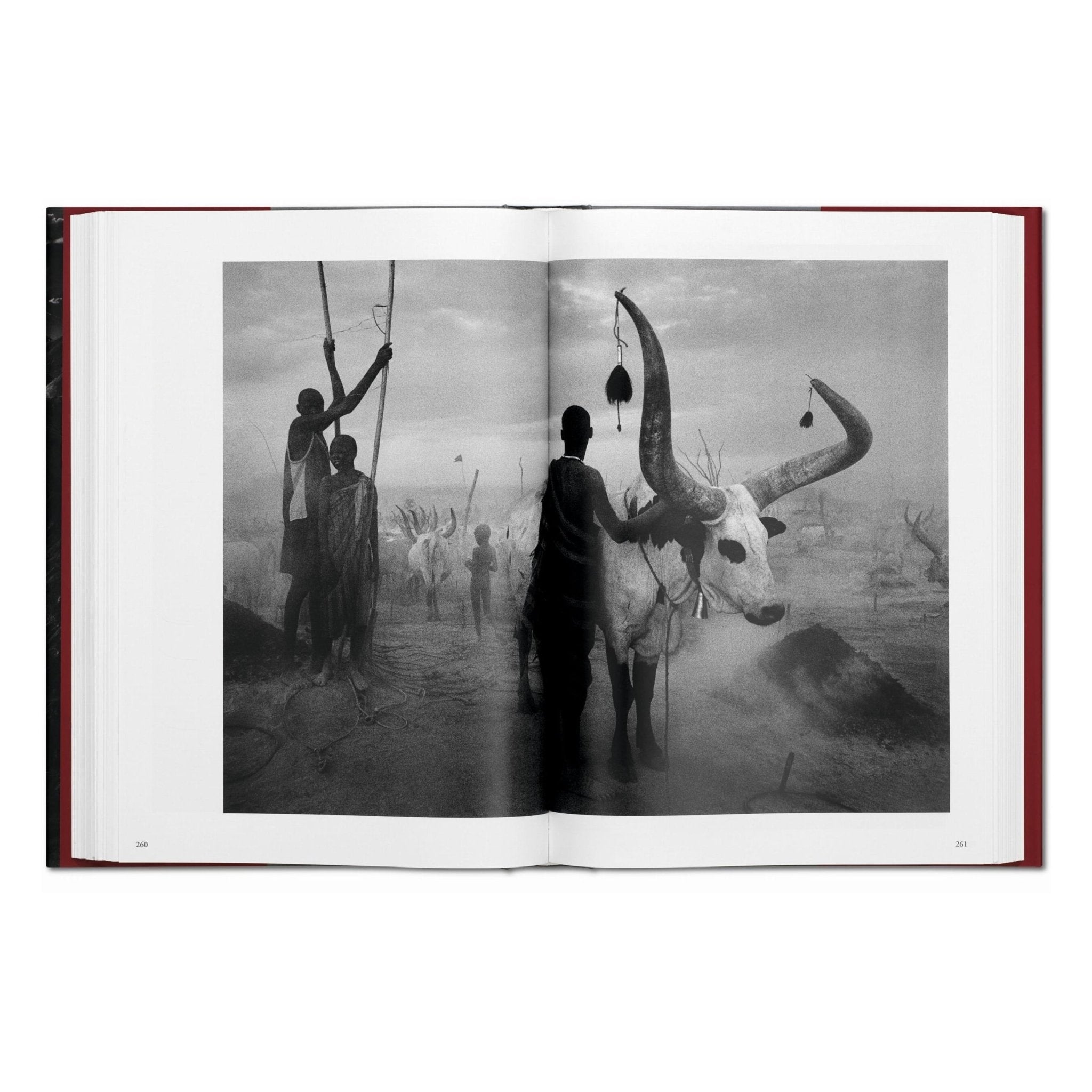 Sebastião Salgado. Genesis (English)-POPvault