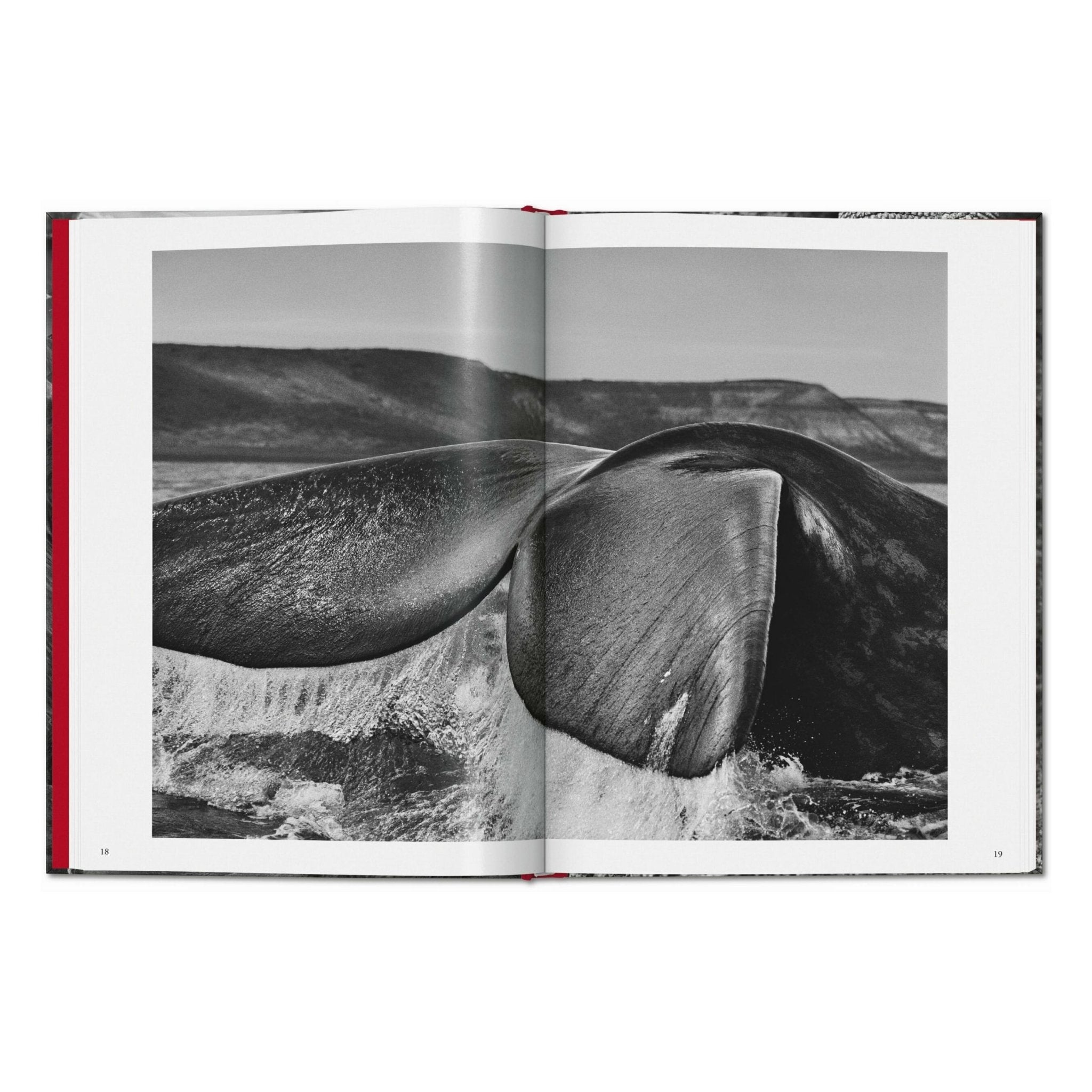 Sebastião Salgado. Genesis (English)-POPvault