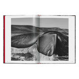 Sebastião Salgado. Genesis (English)-POPvault