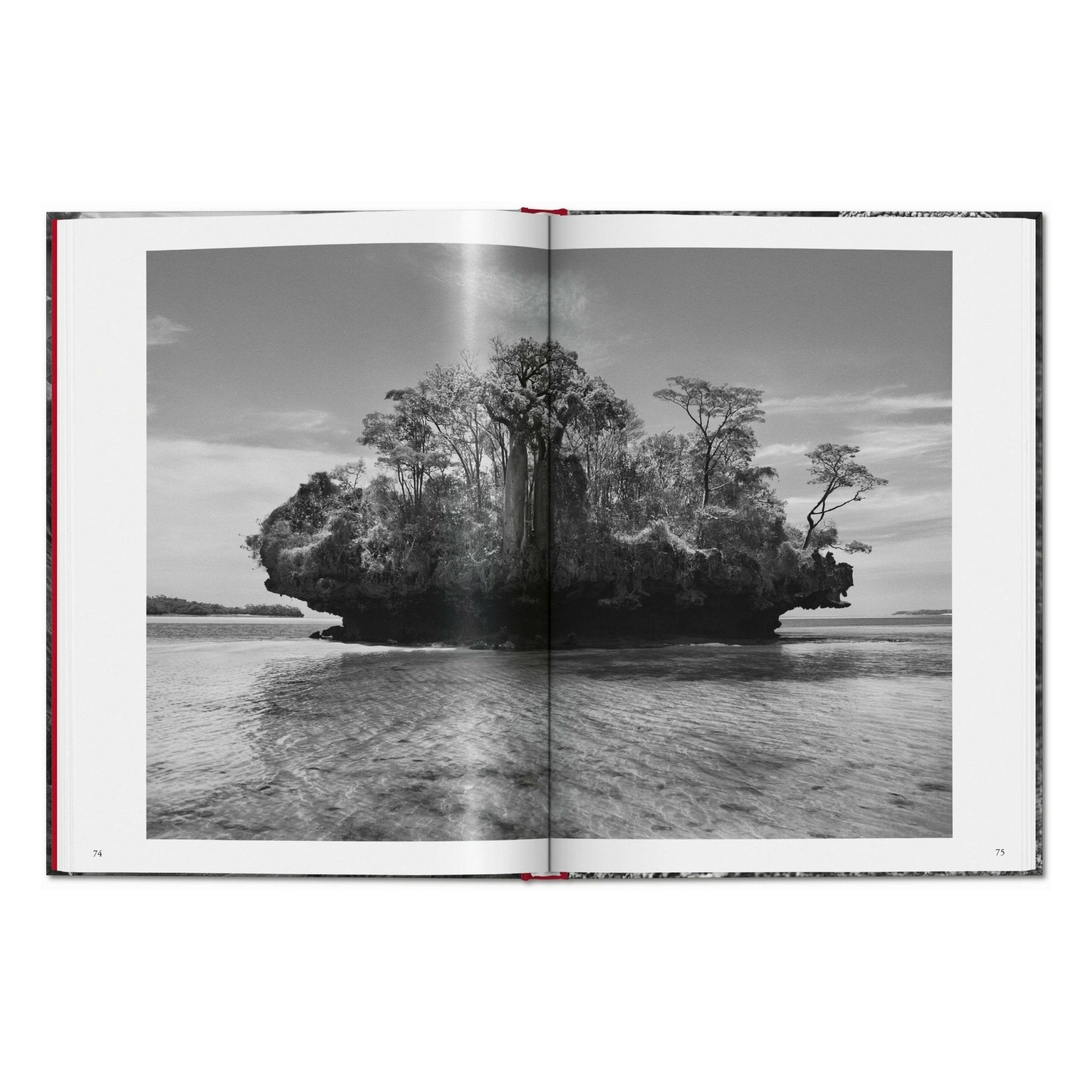 Sebastião Salgado. Genesis (English)-POPvault