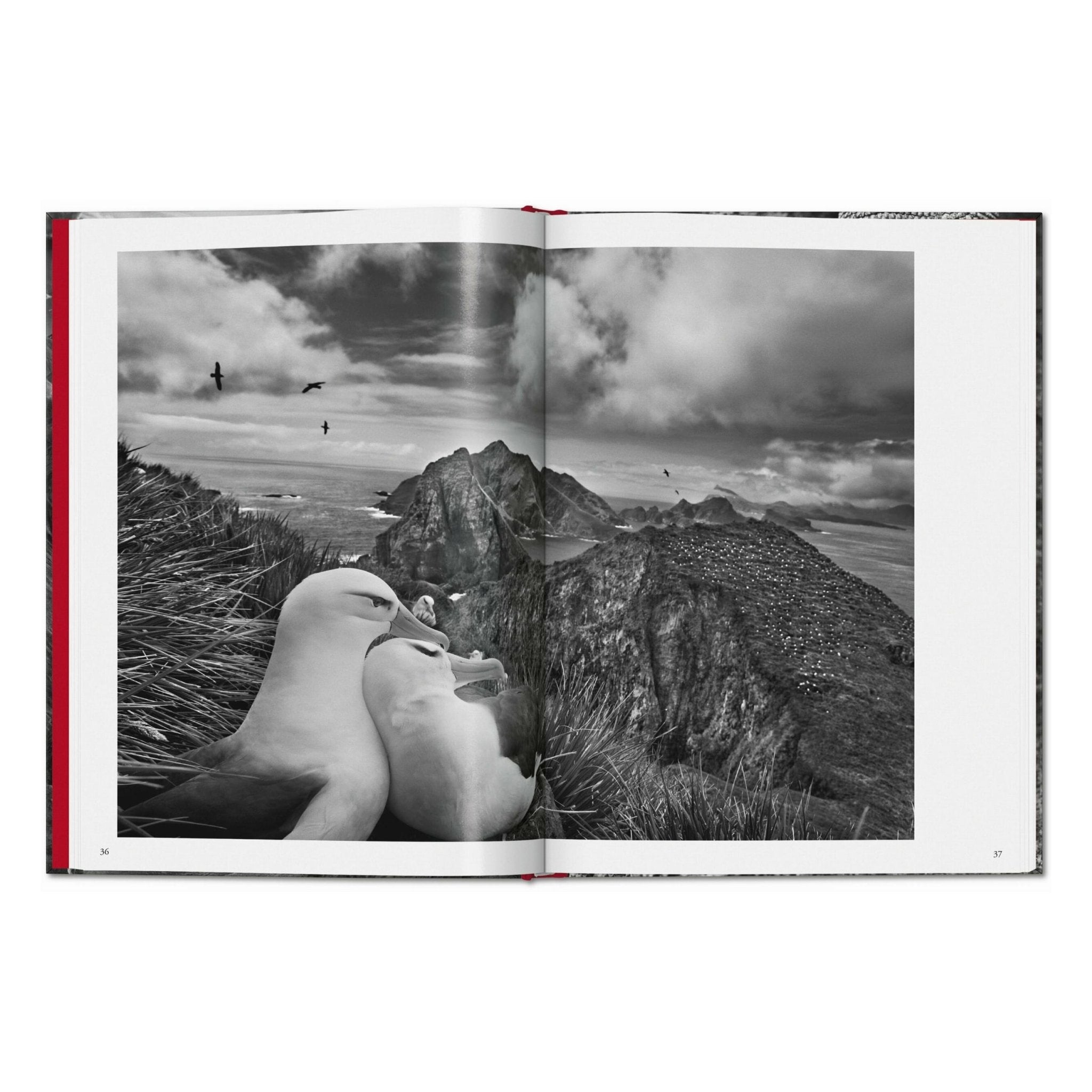 Sebastião Salgado. Genesis (English)-POPvault