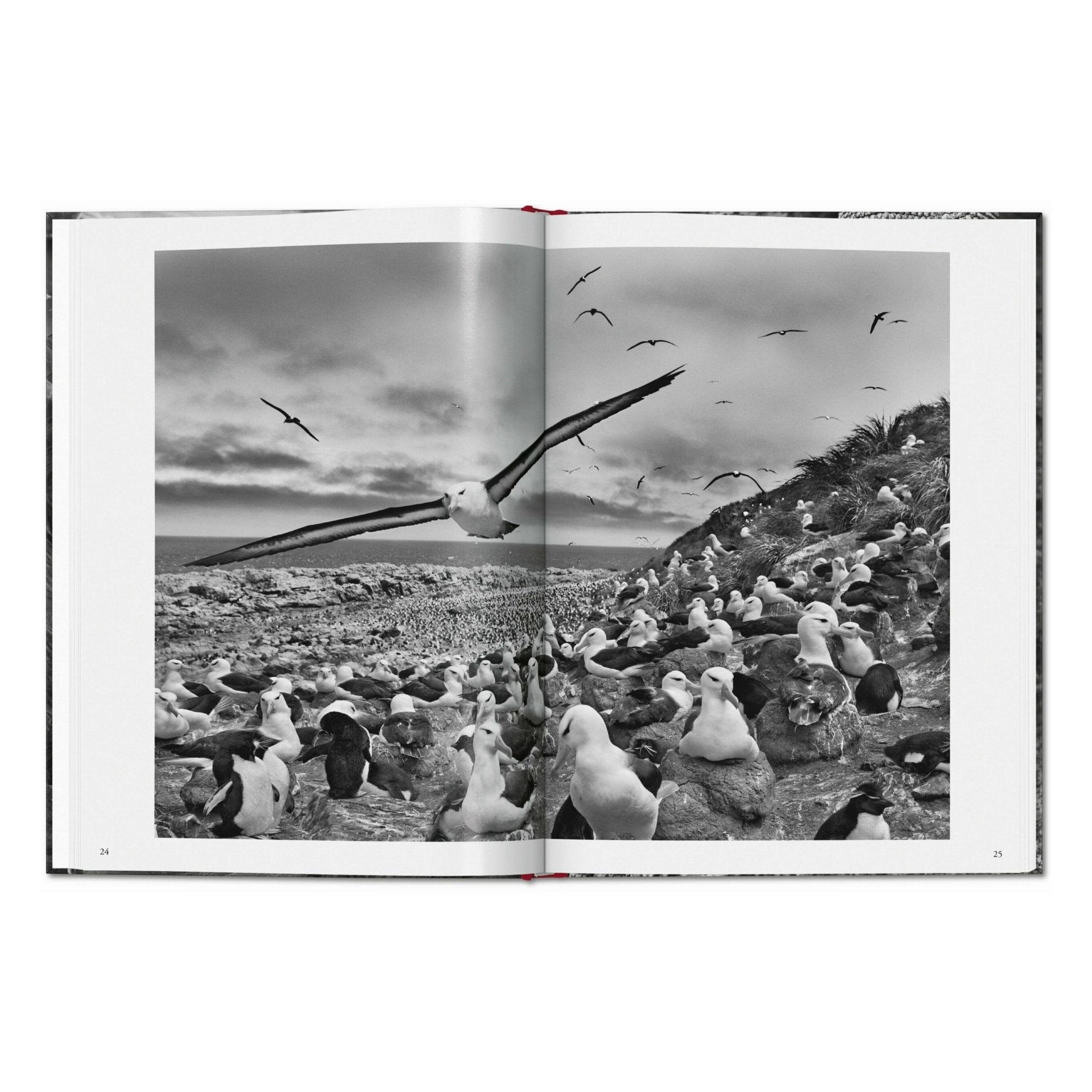 Sebastião Salgado. Genesis (English)-POPvault