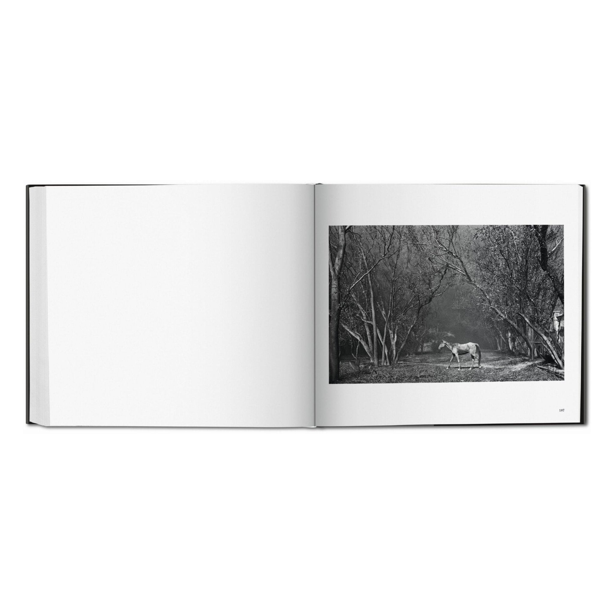 Sebastião Salgado. Kuwait. A Desert on Fire (German, French, English)-POPvault