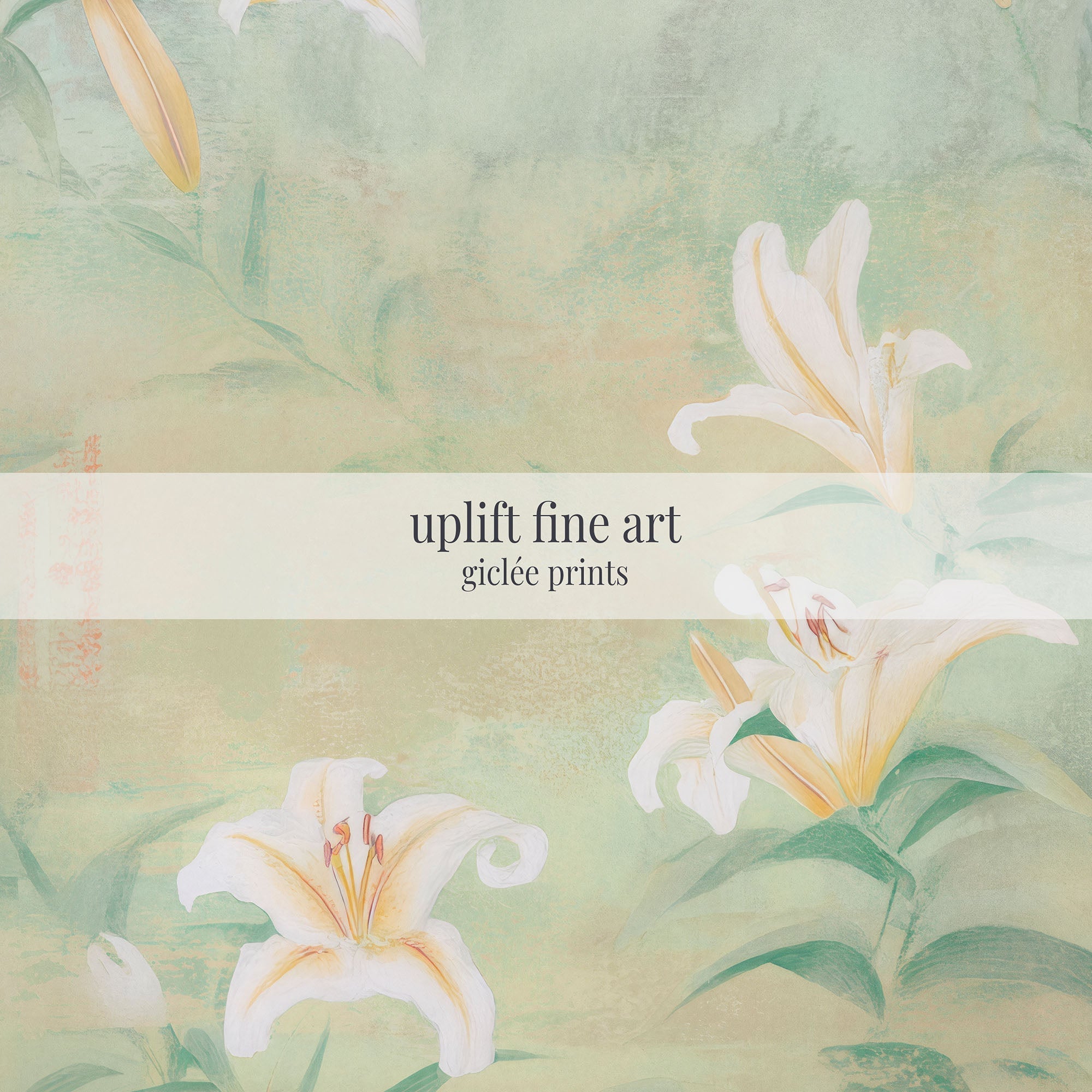 Serene Lily Botanical Print - POPvault