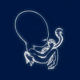 Sigur Ros - Agaetis Byrjun [LP] Vinyl Record - POPvault