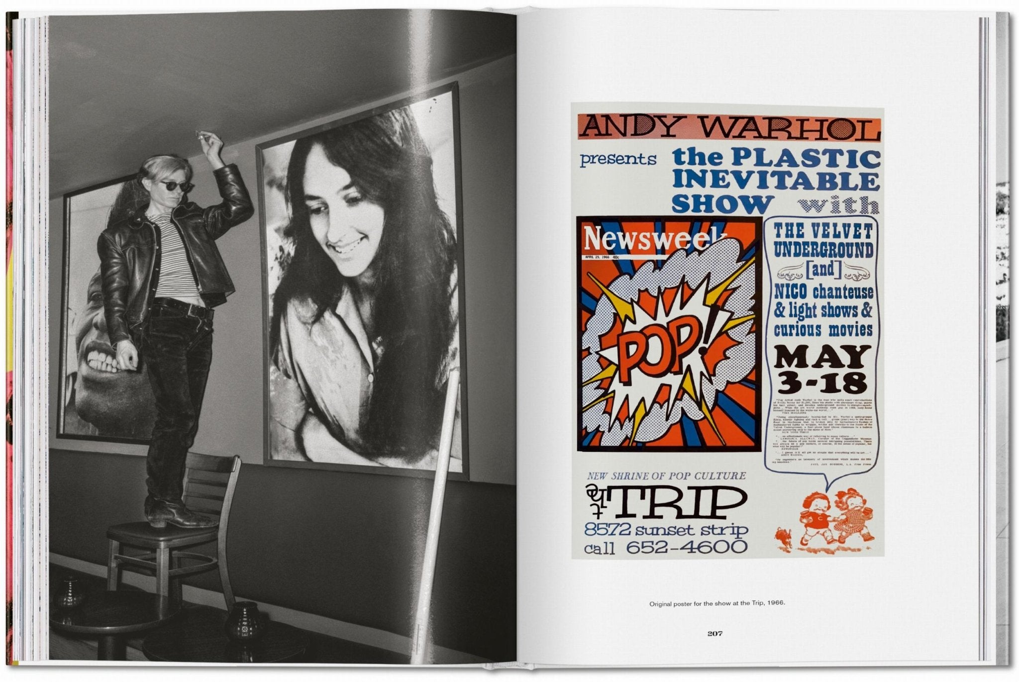 Steve Schapiro. Andy Warhol and Friends (English) - POPvault