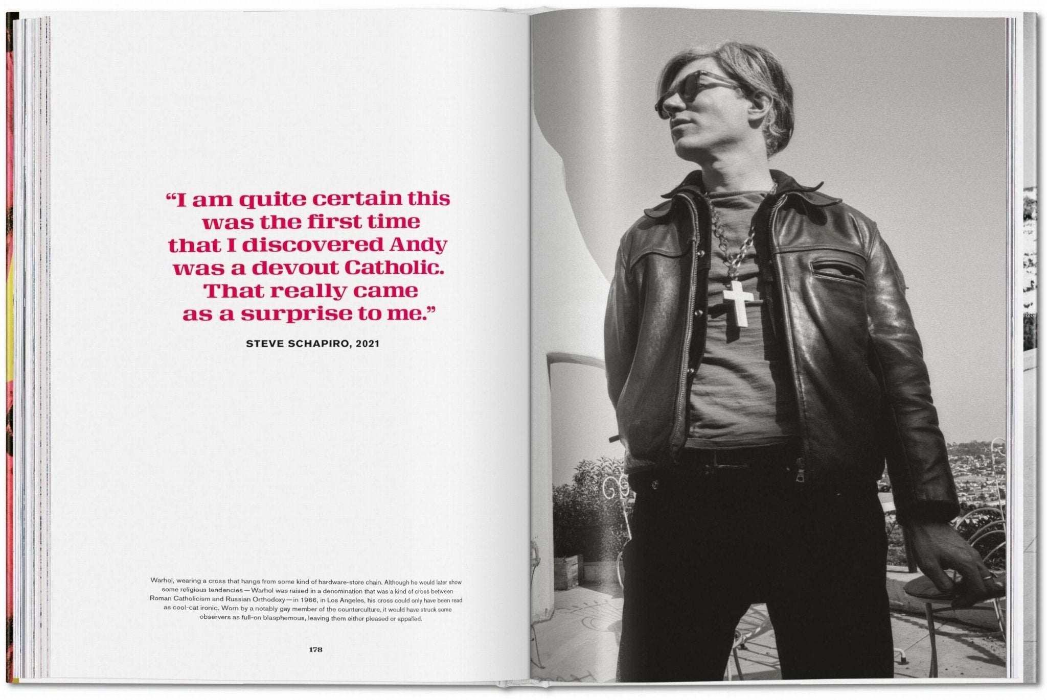 Steve Schapiro. Andy Warhol and Friends (English) - POPvault