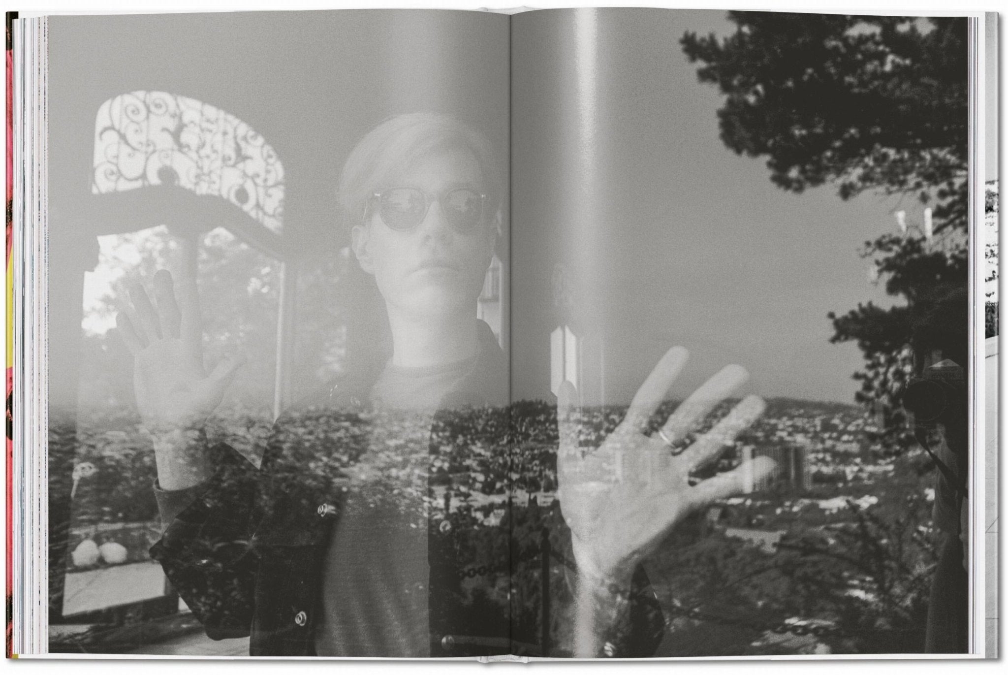 Steve Schapiro. Andy Warhol and Friends (English) - POPvault
