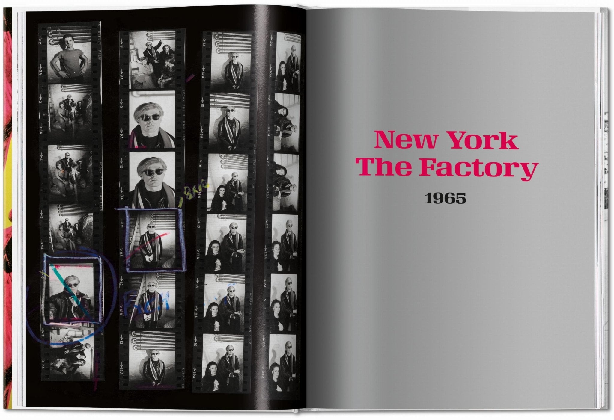 Steve Schapiro. Andy Warhol and Friends (English) - POPvault