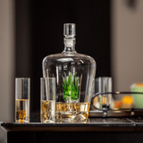 Tequila 750 ml Decanter Set With Agave Plant Decor And 6 Agave 3 Oz. Shot Glasses In A Stand - POPvault