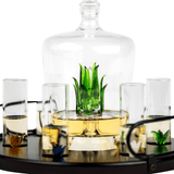 Tequila 750 ml Decanter Set With Agave Plant Decor And 6 Agave 3 Oz. Shot Glasses In A Stand - POPvault