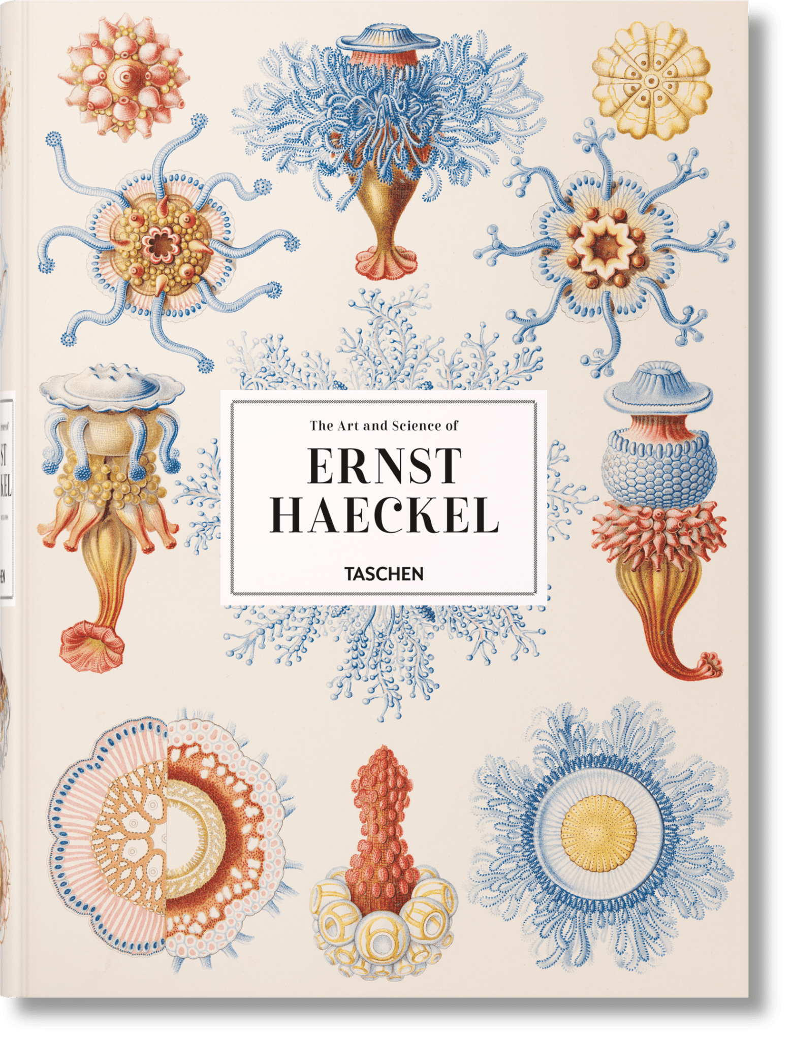 The Art and Science of Ernst Haeckel (German, French, English) - POPvault