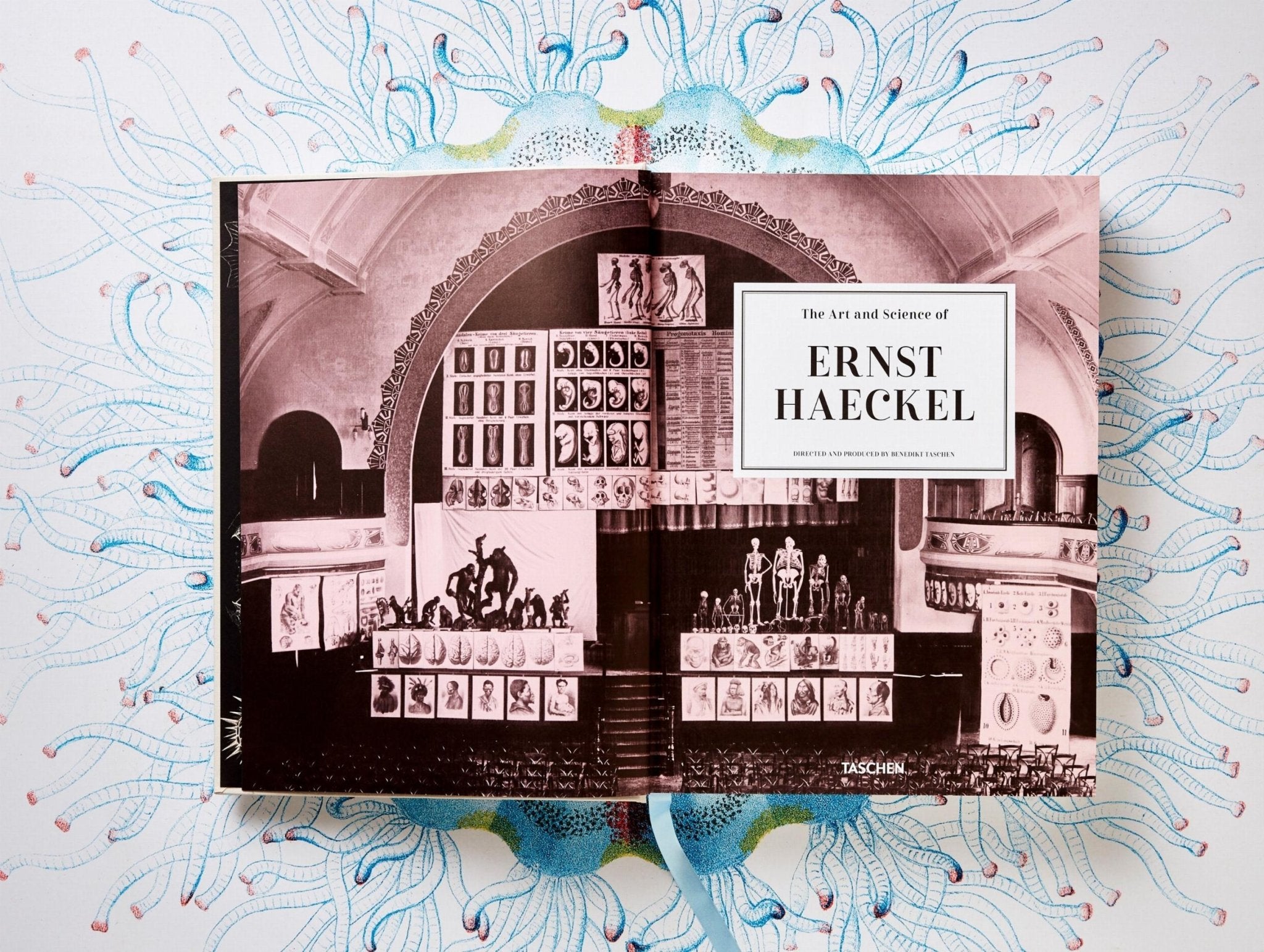 The Art and Science of Ernst Haeckel (German, French, English) - POPvault