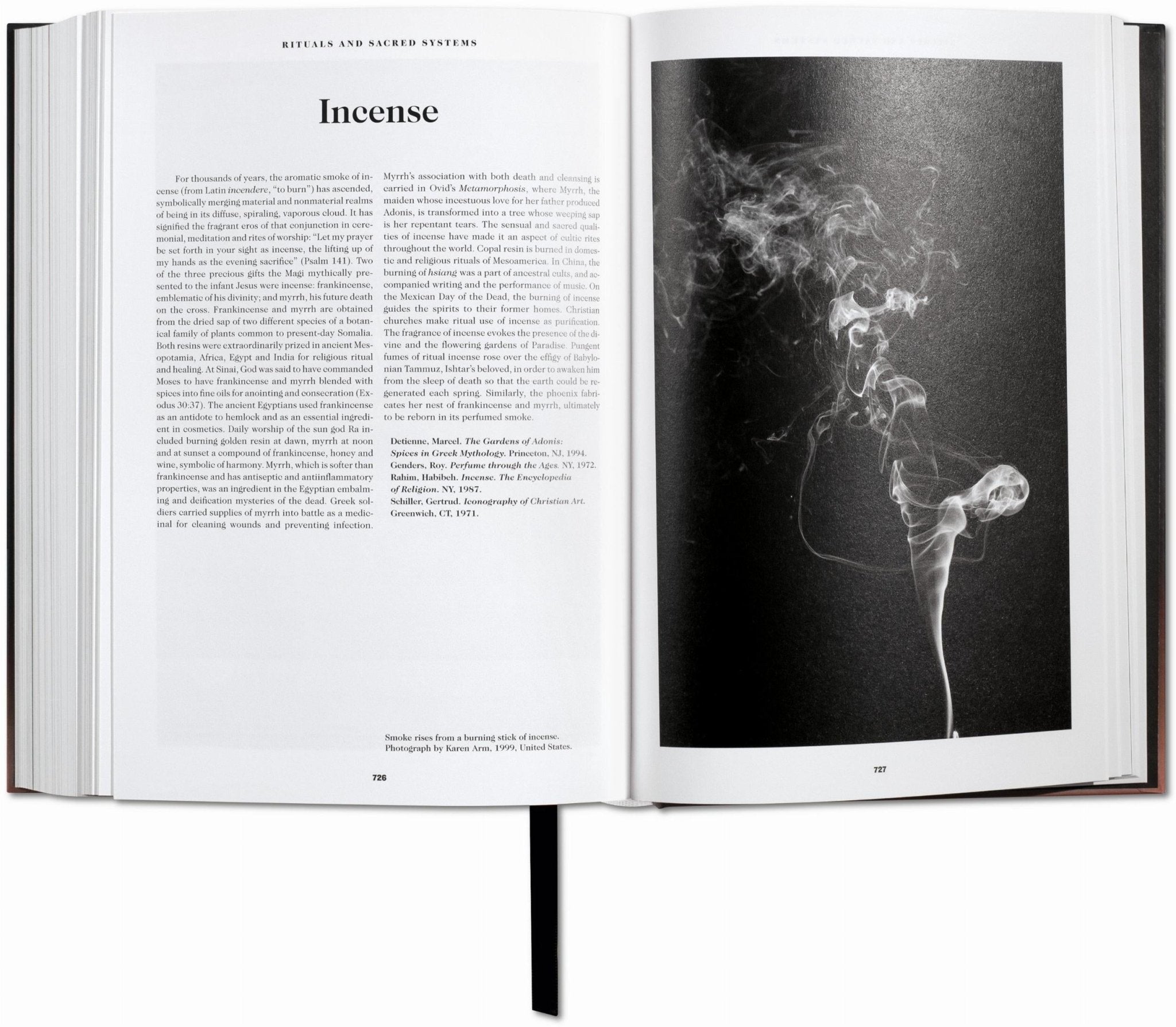 The Book of Symbols. Reflections on Archetypal Images (English) - POPvault