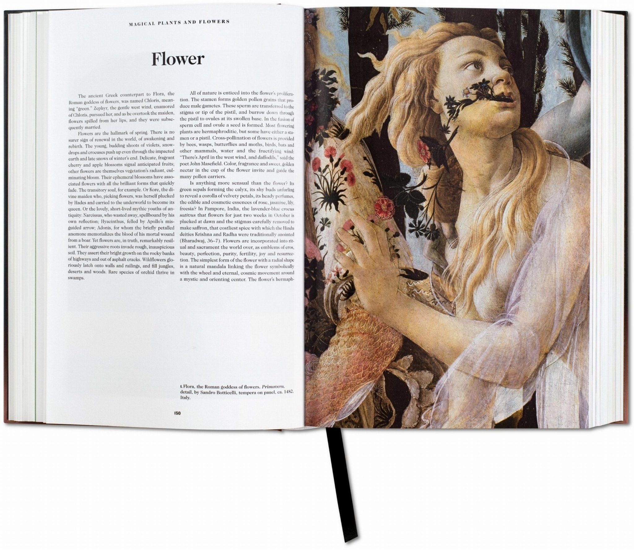 The Book of Symbols. Reflections on Archetypal Images (English) - POPvault