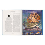 The Fairy Tales of Hans Christian Andersen (English)-POPvault
