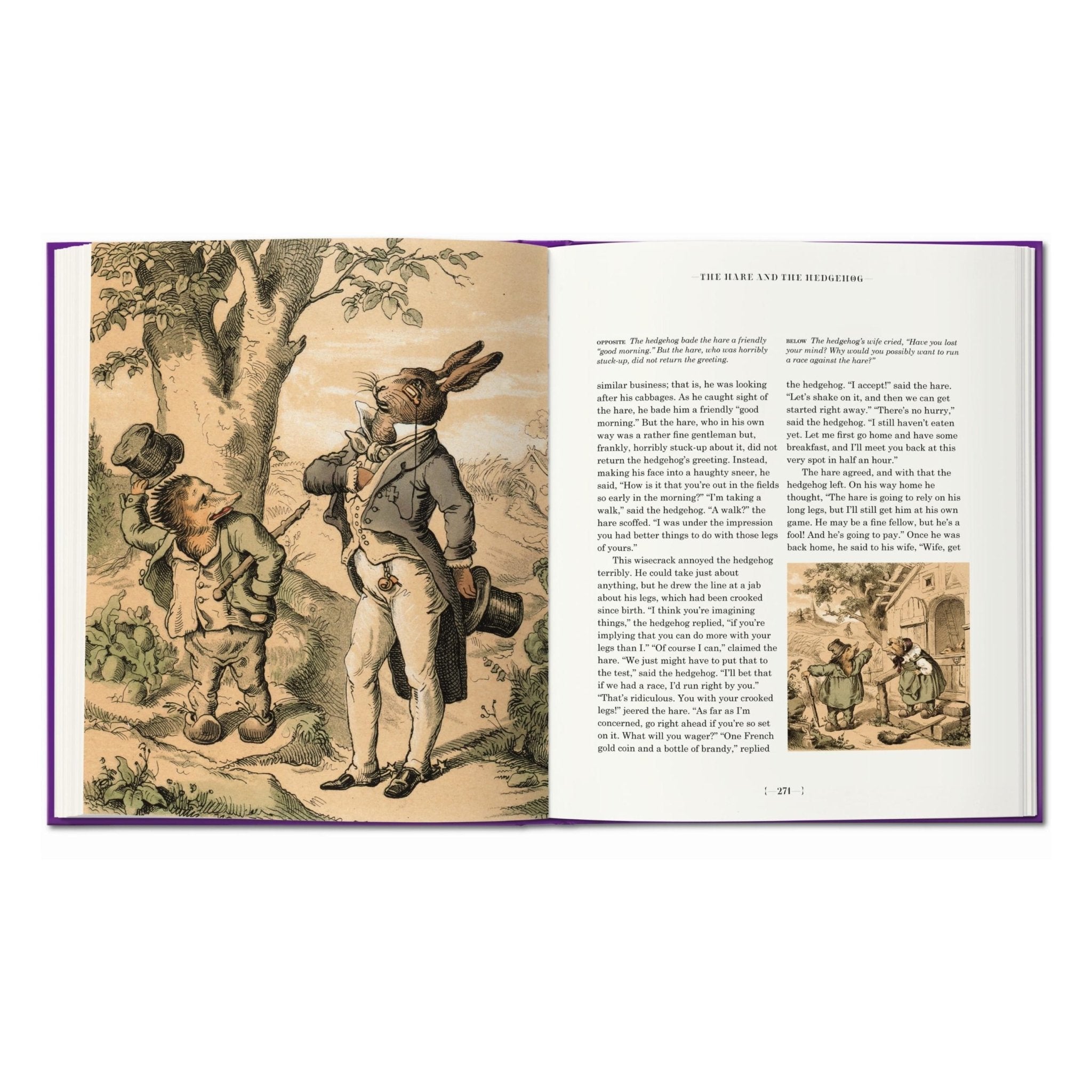 The Fairy Tales of the Brothers Grimm (English)-POPvault