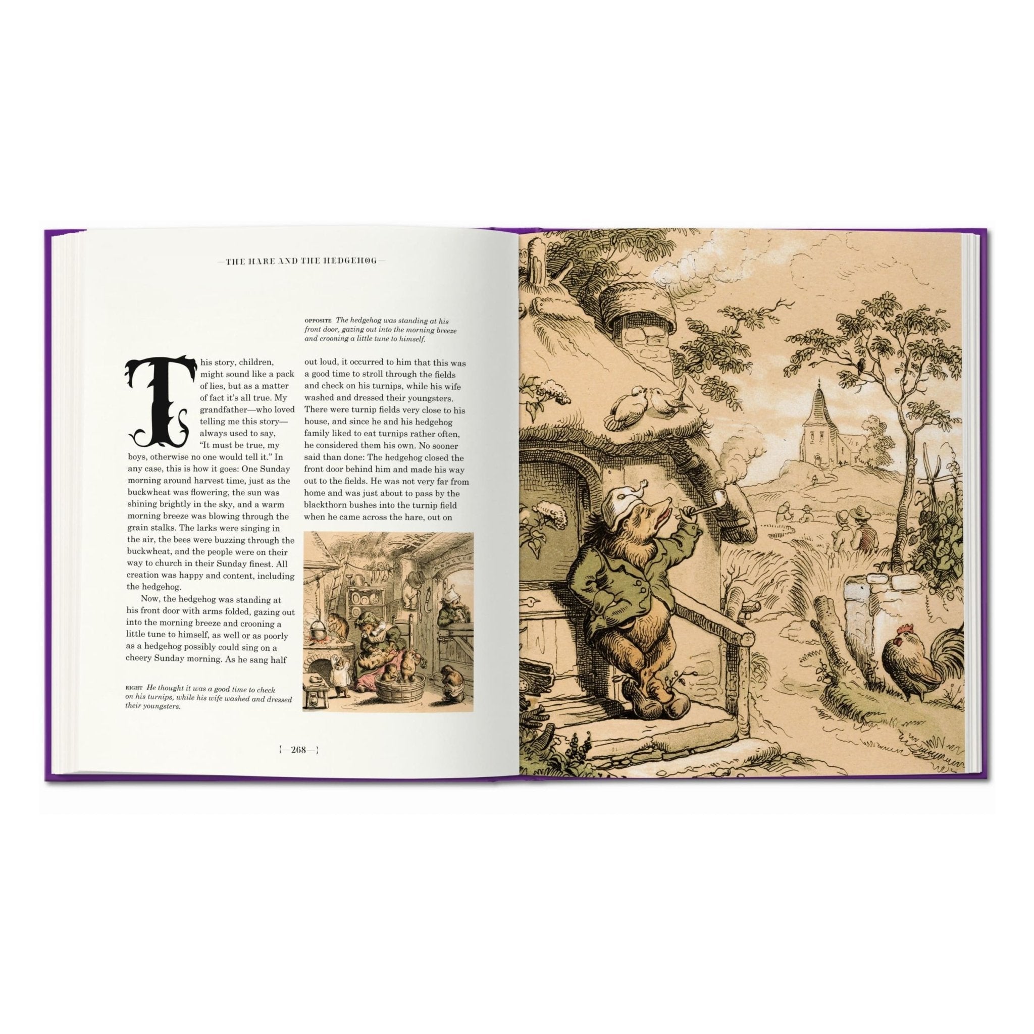 The Fairy Tales of the Brothers Grimm (English)-POPvault