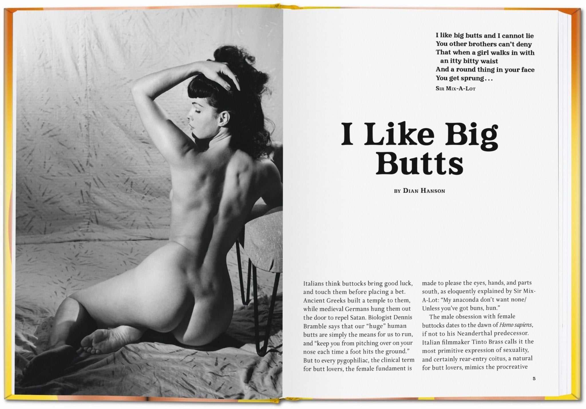 The Little Big Butt Book (German, French, English) - POPvault