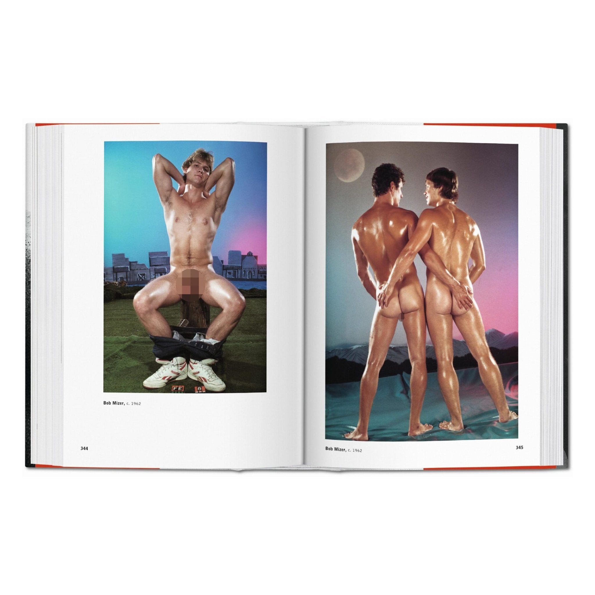 The Male Nude (German, French, English)-POPvault