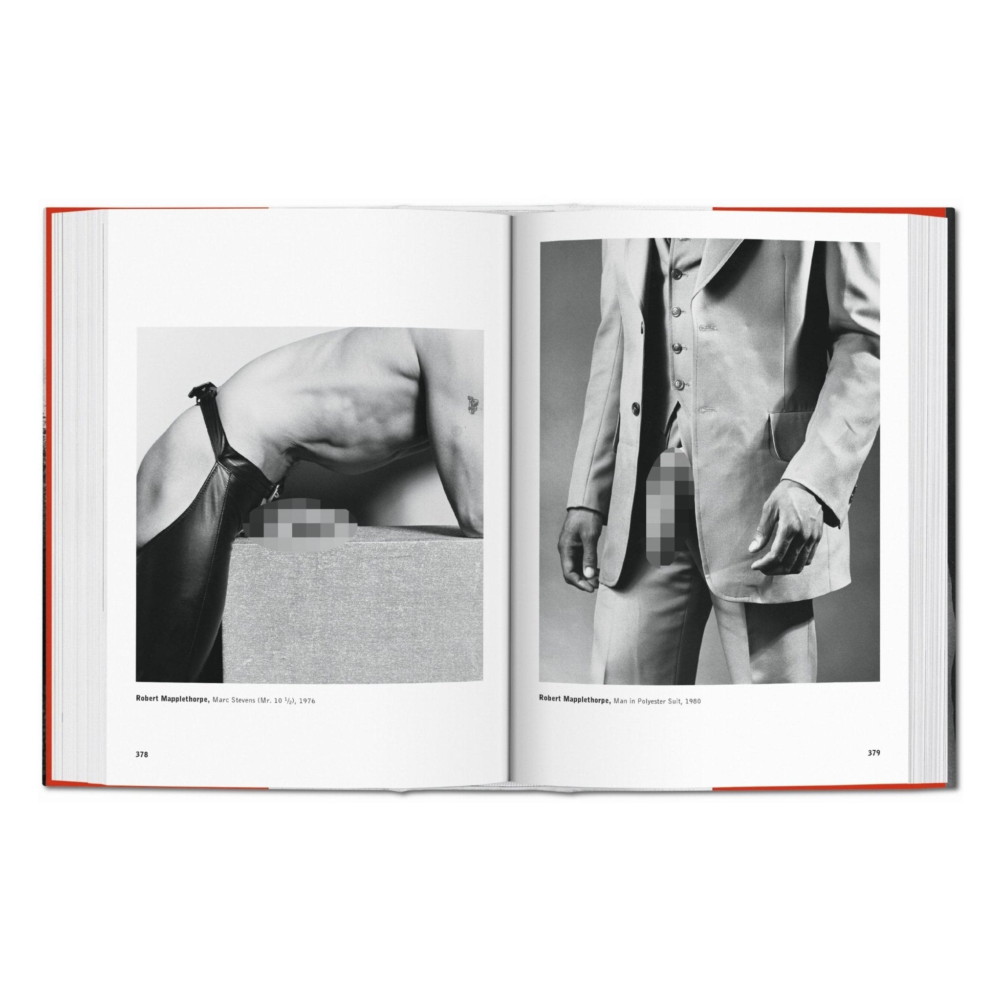 The Male Nude (German, French, English)-POPvault
