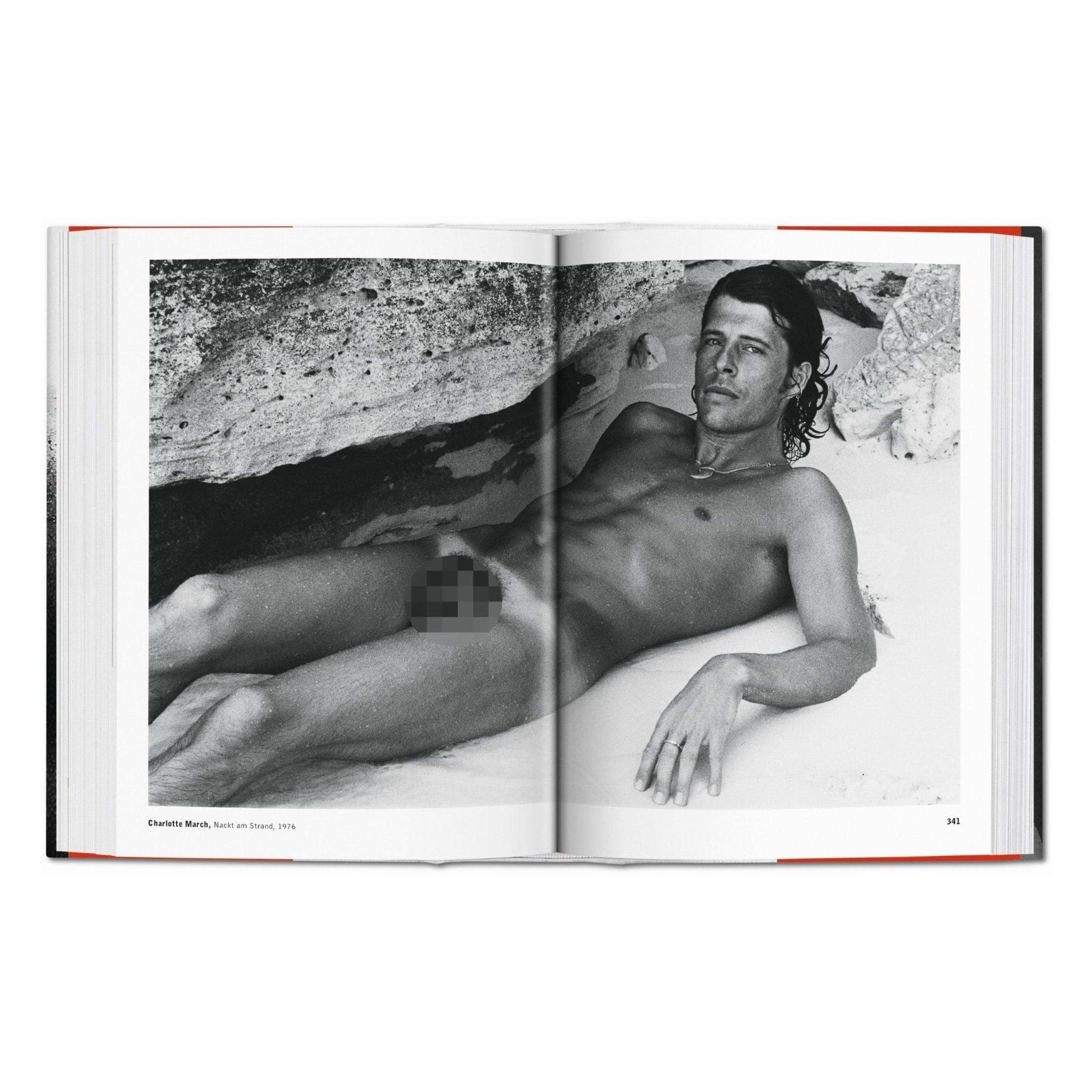 The Male Nude (German, French, English)-POPvault