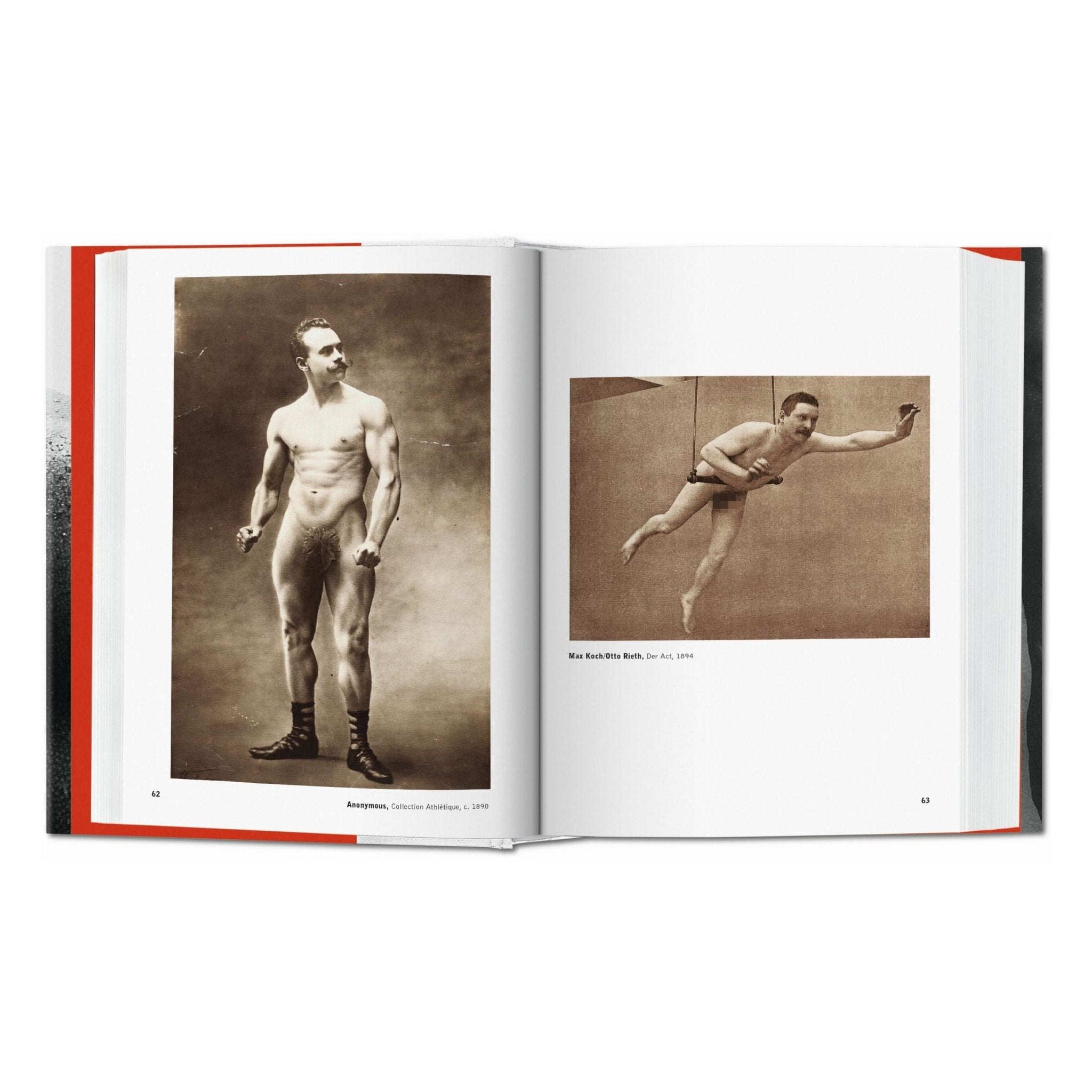 The Male Nude (German, French, English)-POPvault