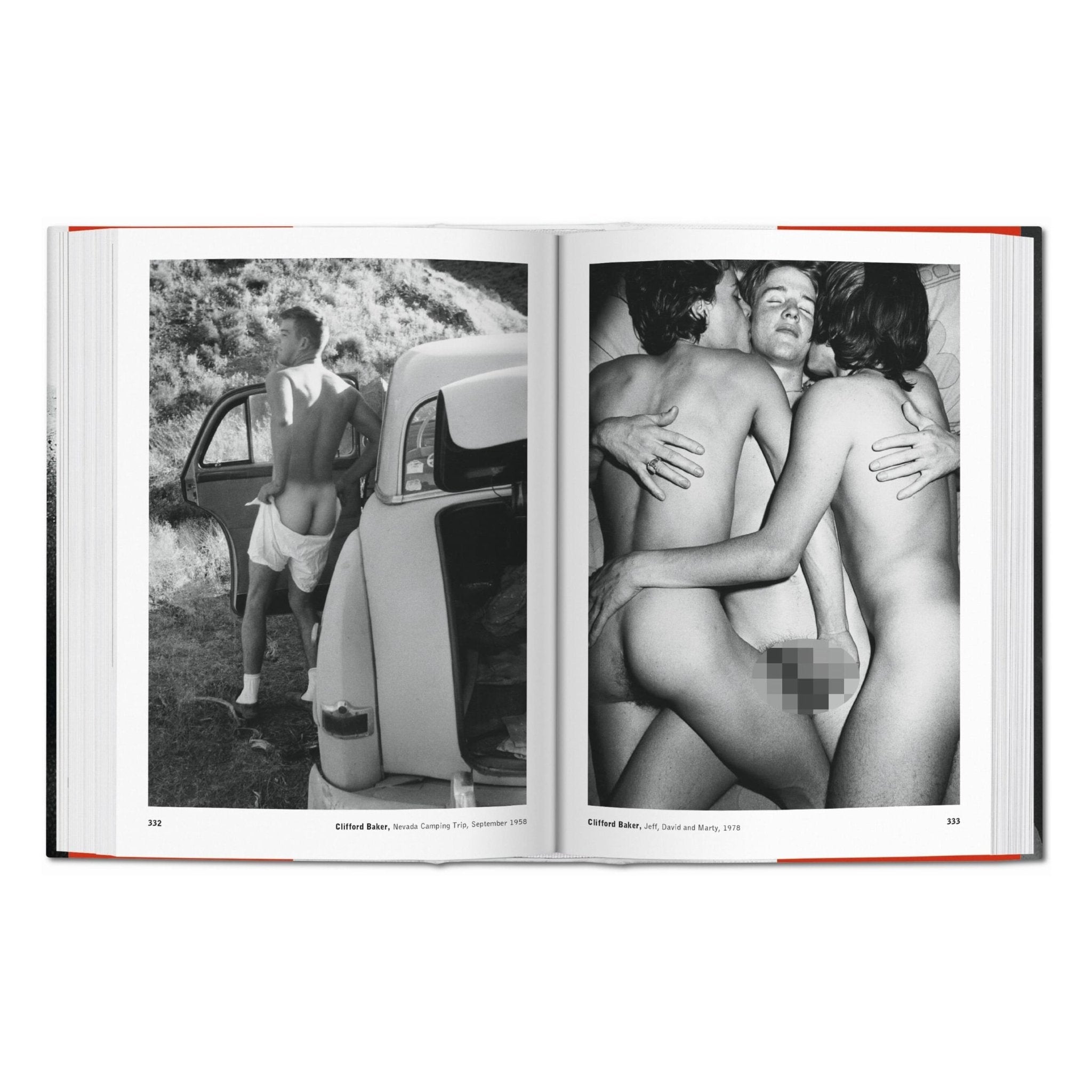 The Male Nude (German, French, English)-POPvault