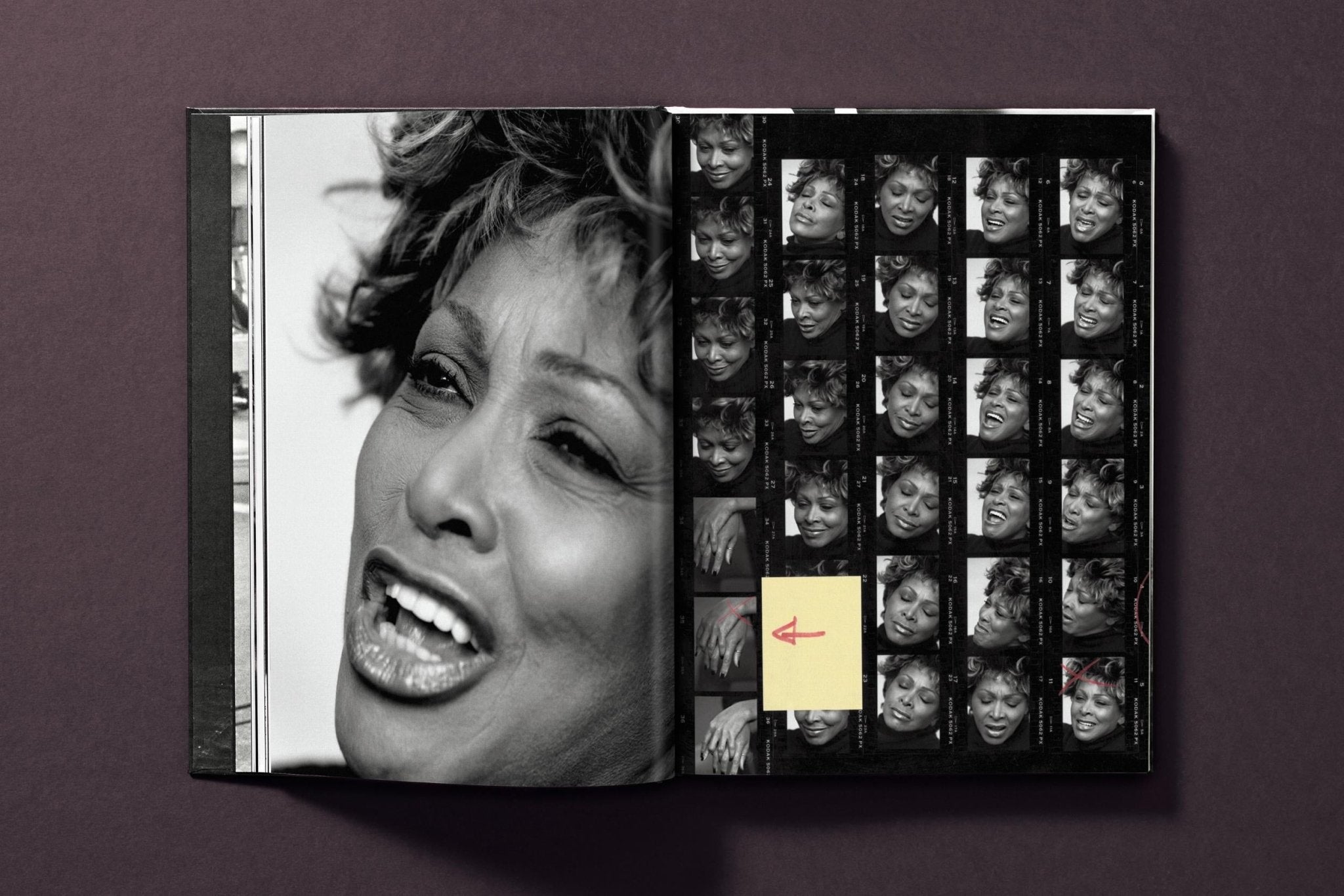 Tina Turner by Peter Lindbergh (German, French, English) - POPvault