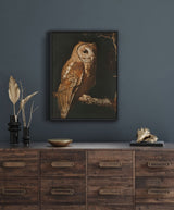 Vintage Owl Canvas Art Print - POPvault