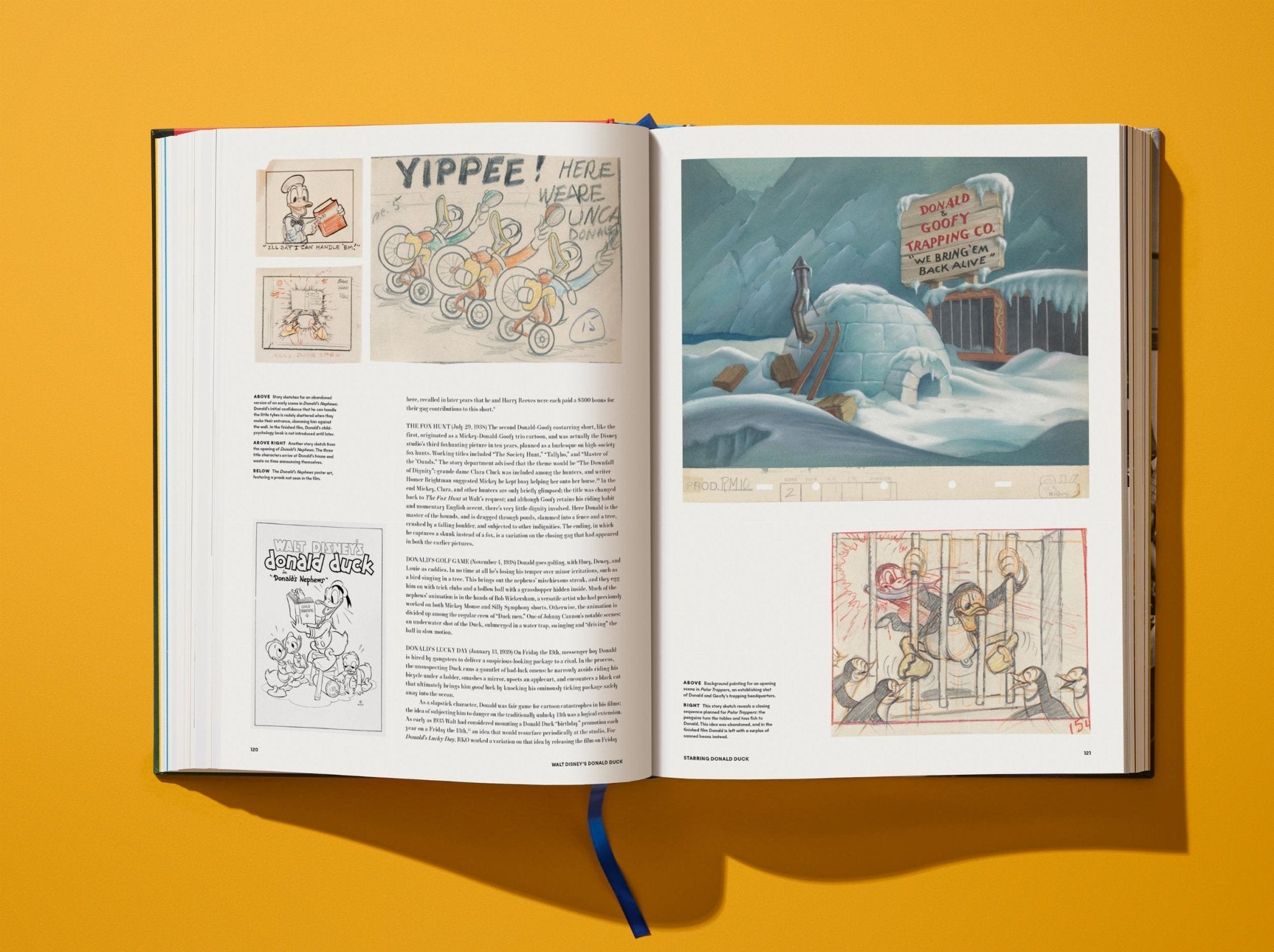 Walt Disney's Donald Duck. The Ultimate History (English) - POPvault