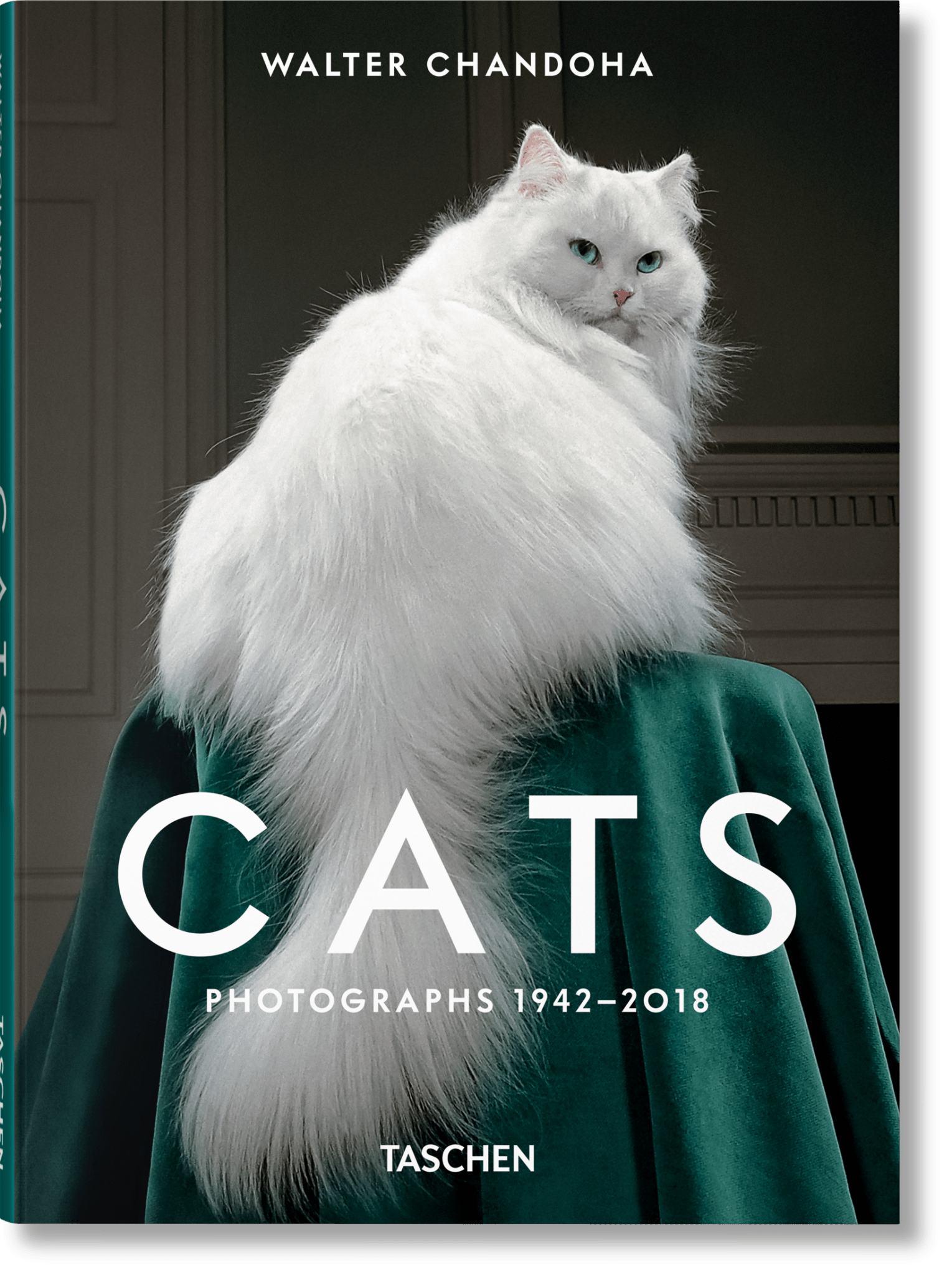 Walter Chandoha. Cats. Photographs 1942–2018 (English) - POPvault
