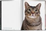 Walter Chandoha. Cats. Photographs 1942–2018 (English) - POPvault