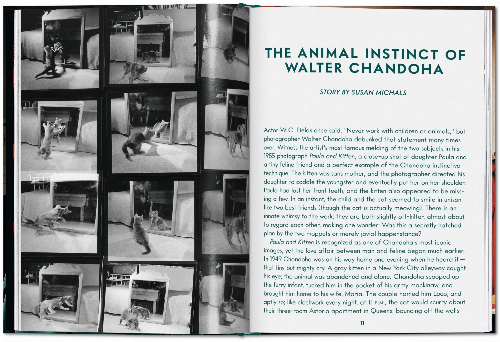 Walter Chandoha. Cats. Photographs 1942–2018 (English) - POPvault