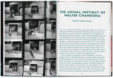 Walter Chandoha. Cats. Photographs 1942–2018 (English) - POPvault