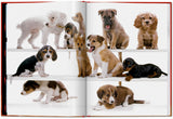Walter Chandoha. Dogs. Photographs 1941–1991 (English) - POPvault