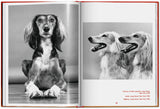 Walter Chandoha. Dogs. Photographs 1941–1991 (English) - POPvault