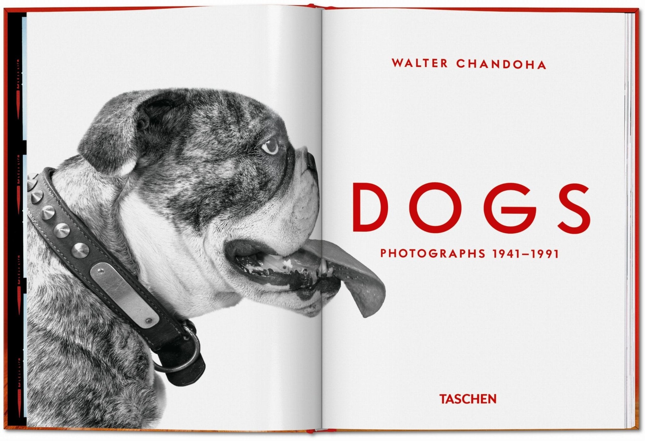 Walter Chandoha. Dogs. Photographs 1941–1991 (English) - POPvault
