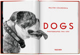 Walter Chandoha. Dogs. Photographs 1941–1991 (English) - POPvault