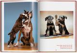 Walter Chandoha. Dogs. Photographs 1941–1991 (English) - POPvault