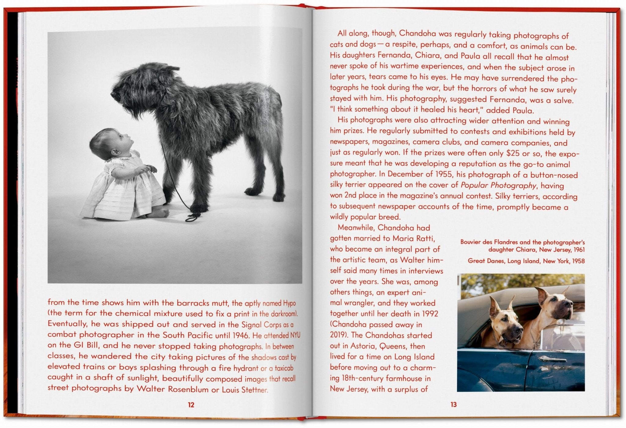 Walter Chandoha. Dogs. Photographs 1941–1991 (English) - POPvault
