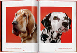 Walter Chandoha. Dogs. Photographs 1941–1991 (English) - POPvault
