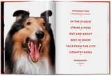Walter Chandoha. Dogs. Photographs 1941–1991 (English) - POPvault