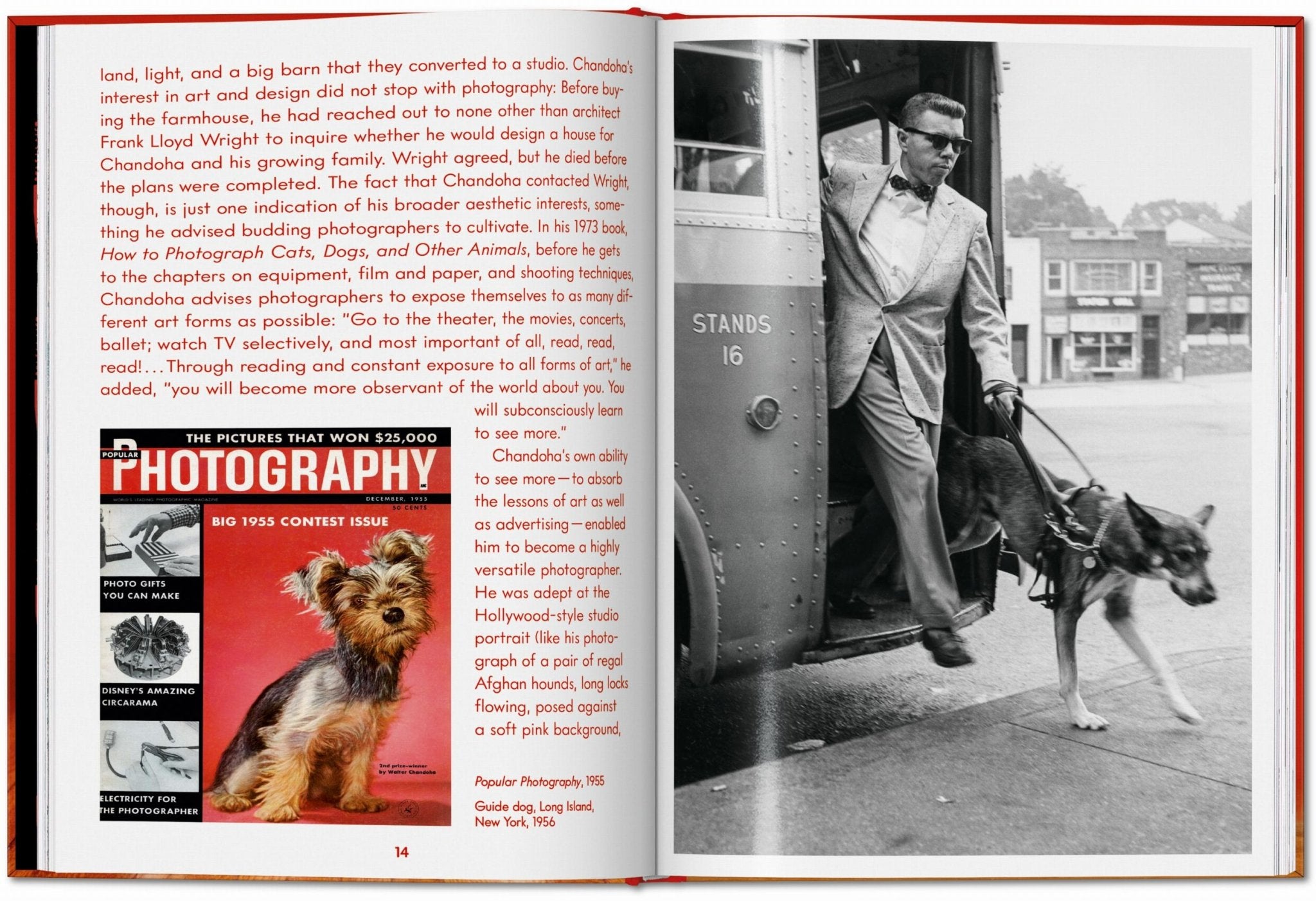 Walter Chandoha. Dogs. Photographs 1941–1991 (English) - POPvault