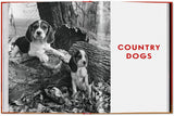 Walter Chandoha. Dogs. Photographs 1941–1991 (English) - POPvault