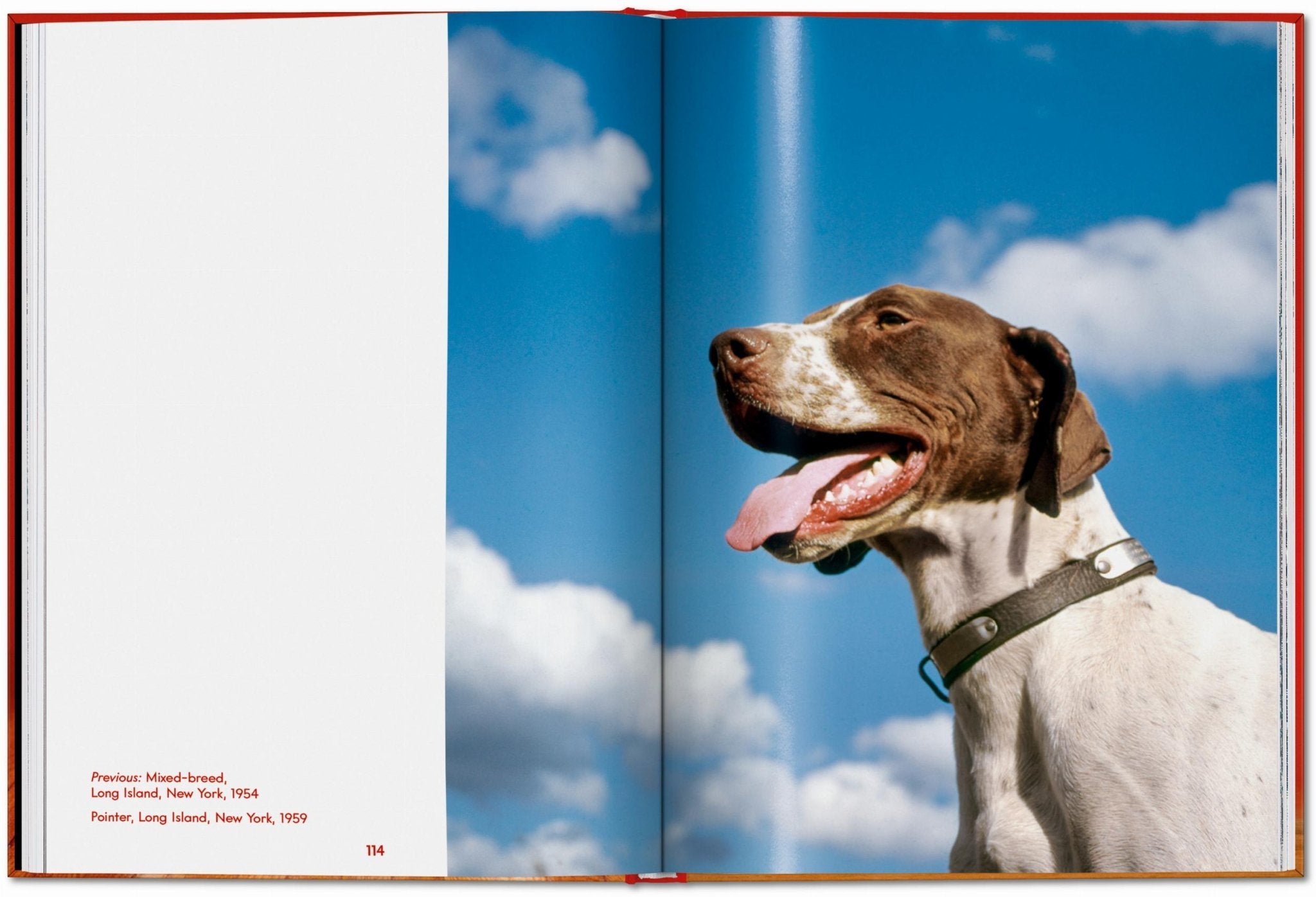 Walter Chandoha. Dogs. Photographs 1941–1991 (English) - POPvault