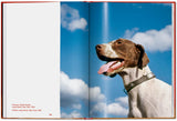 Walter Chandoha. Dogs. Photographs 1941–1991 (English) - POPvault